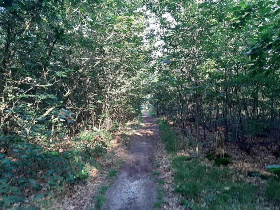 Vakantiehuis Eikzicht Gelegen Aan Het Bos Elsloo  Exterior photo